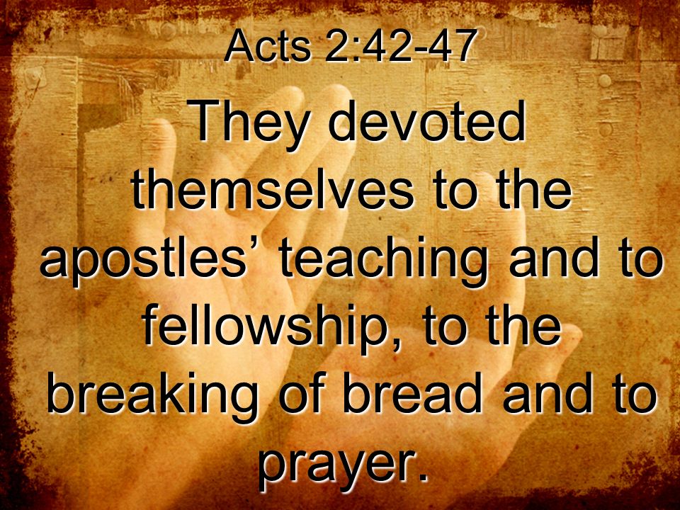 Acts 2.42 - devoted themselves to the apostles teaching, fellowship ...