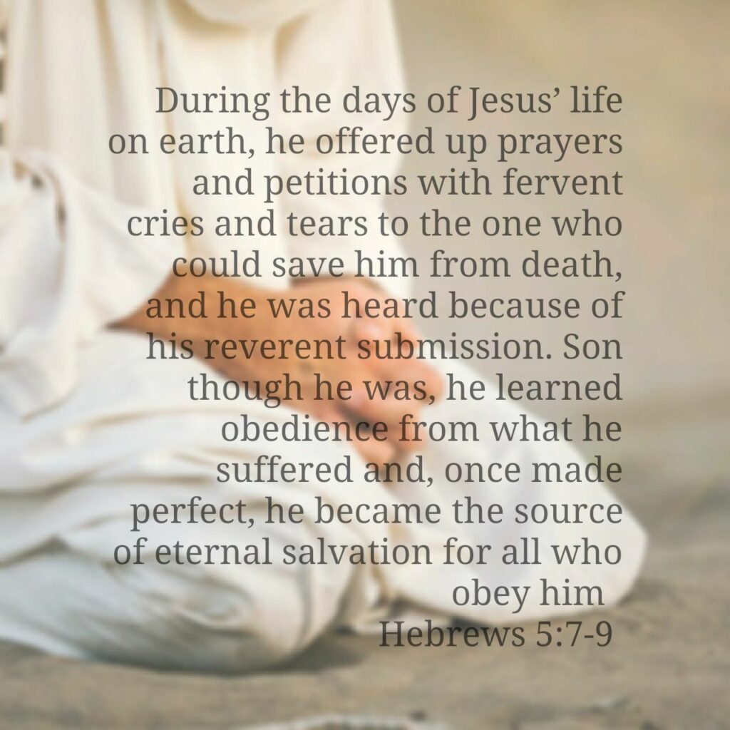 Hebrews 5 7 9 He Became The Source Of Eternal Salvation For All Who a-passage-to-ponder-hebrews-4-14-16-thepreachersword