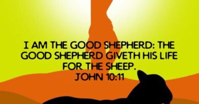 What’s so Good about the Good Shepherd? – Sermon for April 21, 2024