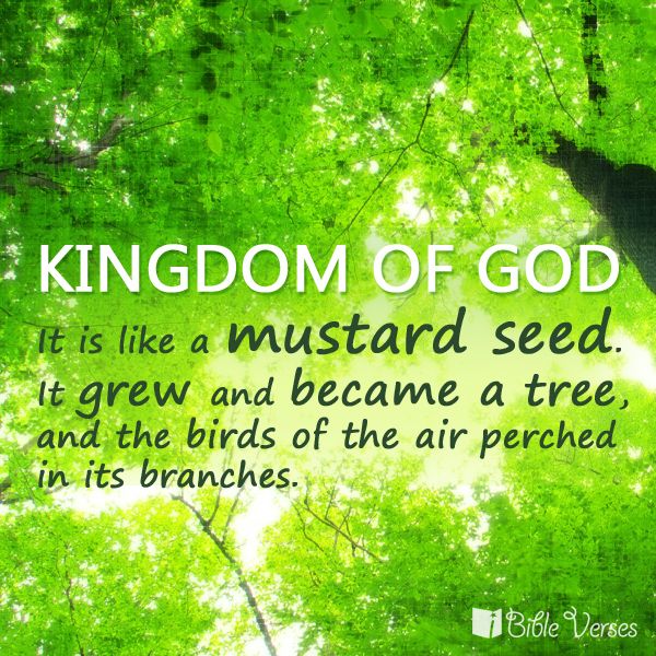 Mark 4.31-32 - The Kingdom of God is like a mustard seed - St. Andrew ...