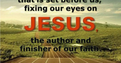 Run the Race of Life in Faith, to the Goal of Heaven – Sermon for November 17, 2024